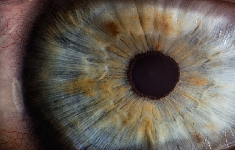 How to See