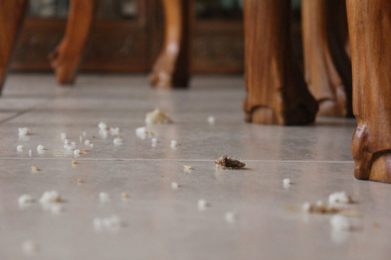 bread crumbs on the floor