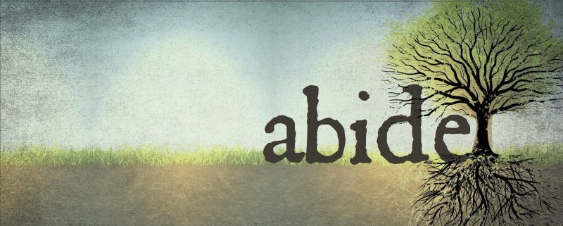 Abide Here