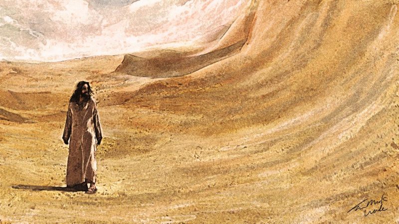 Wilderness and Worship